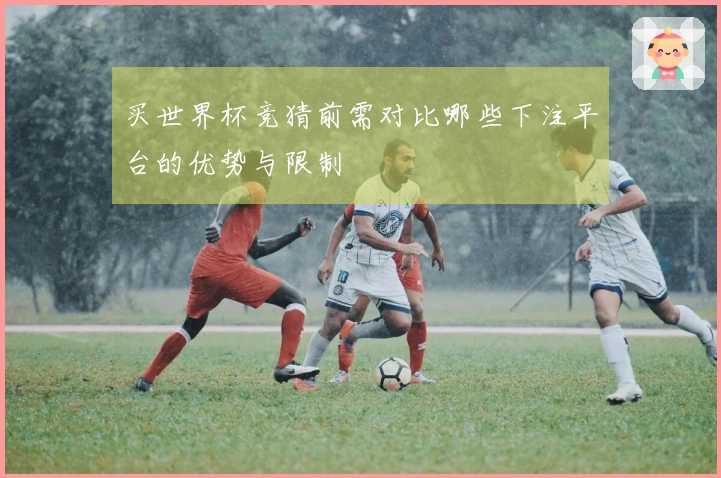 买世界杯竞猜前需对比哪些下注平台的优势与限制