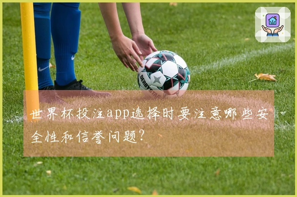 世界杯投注app选择时要注意哪些安全性和信誉问题？