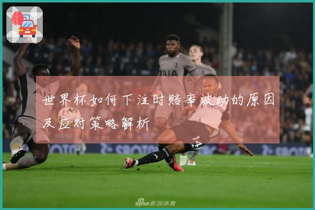 世界杯如何下注时赔率波动的原因及应对策略解析