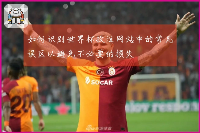如何识别世界杯投注网站中的常见误区以避免不必要的损失